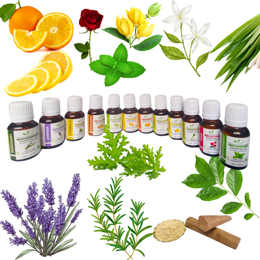 Essential Oil Pack of 12 (180 ml)