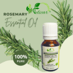 Rosemary Essential Oil