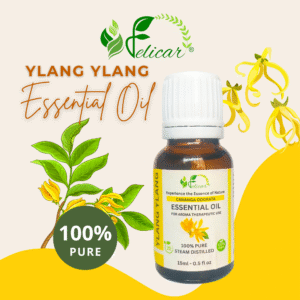 Ylang Ylang Essential Oil