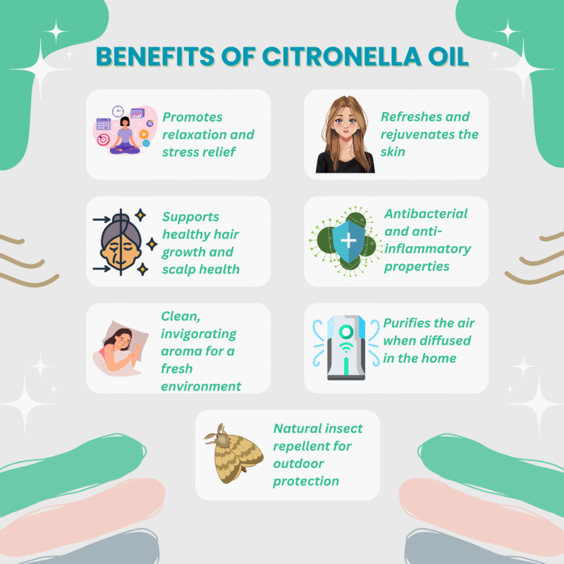 Citronella Essential Oil - Image 3