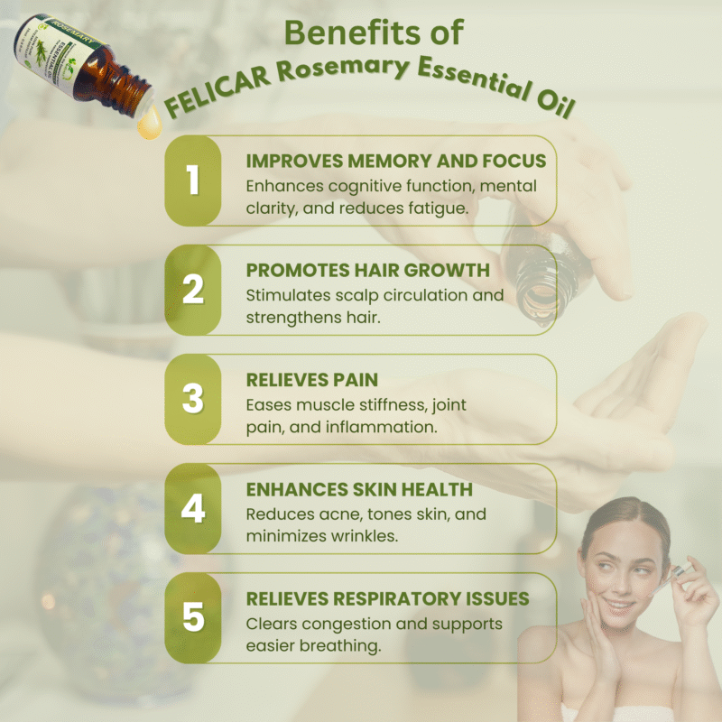 Rosemary Essential Oil - Image 6