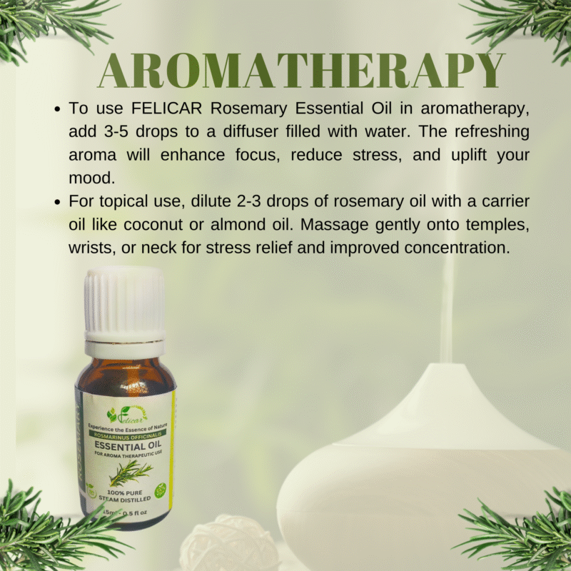Rosemary Essential Oil - Image 7