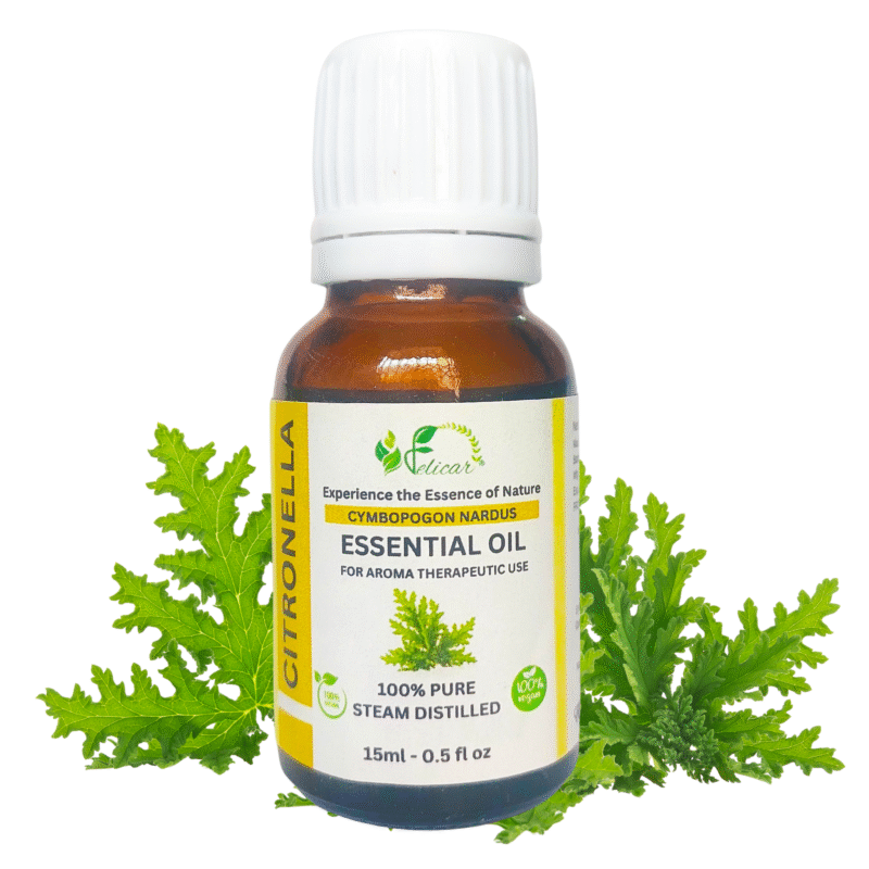 Citronella Essential Oil - Image 2